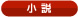 小説