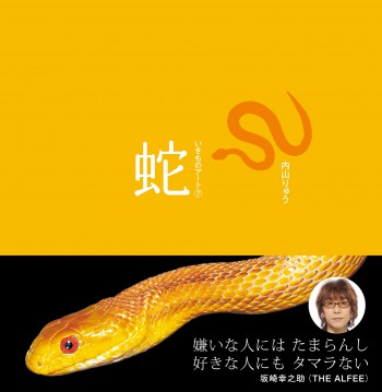 いきものアート蛇